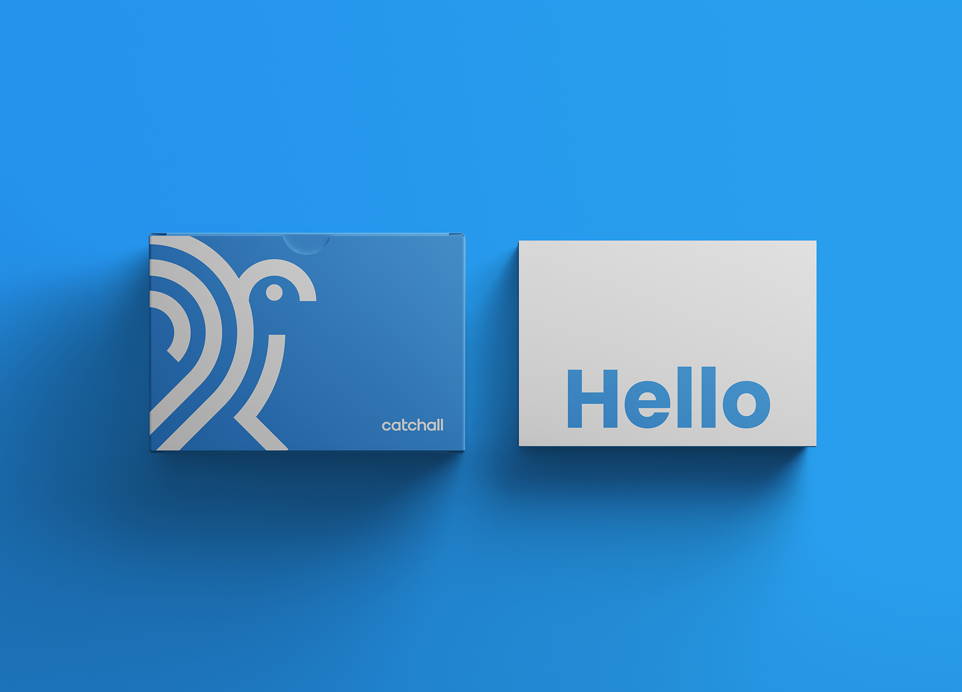 catchall-luiz-design-grafico-logo-logotipo-logomarca-marca-identidade-visual-austin-texas-usa-10