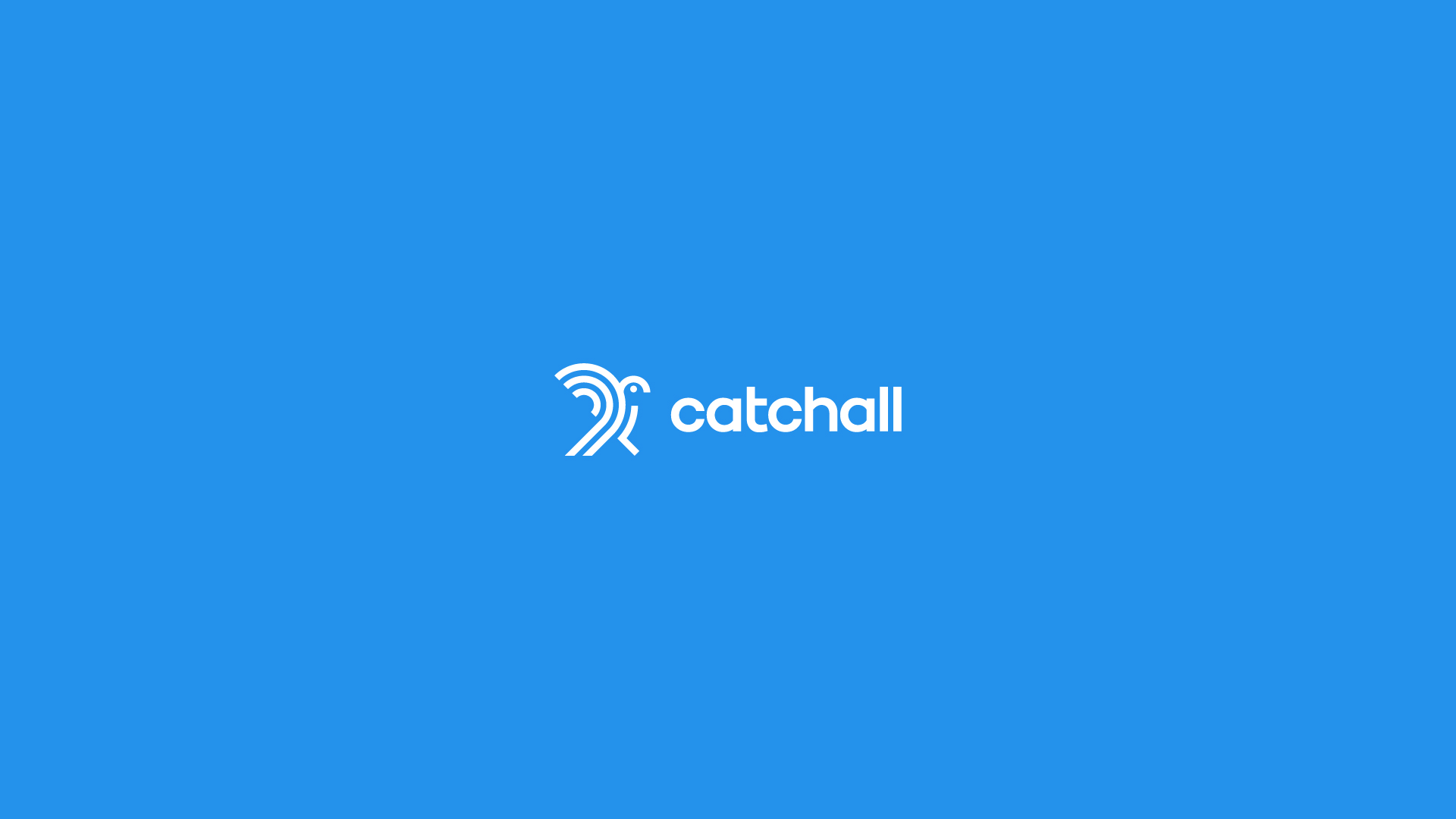 catchall-luiz-design-grafico-logo-logotipo-logomarca-marca-identidade-visual-austin-texas-usa-2
