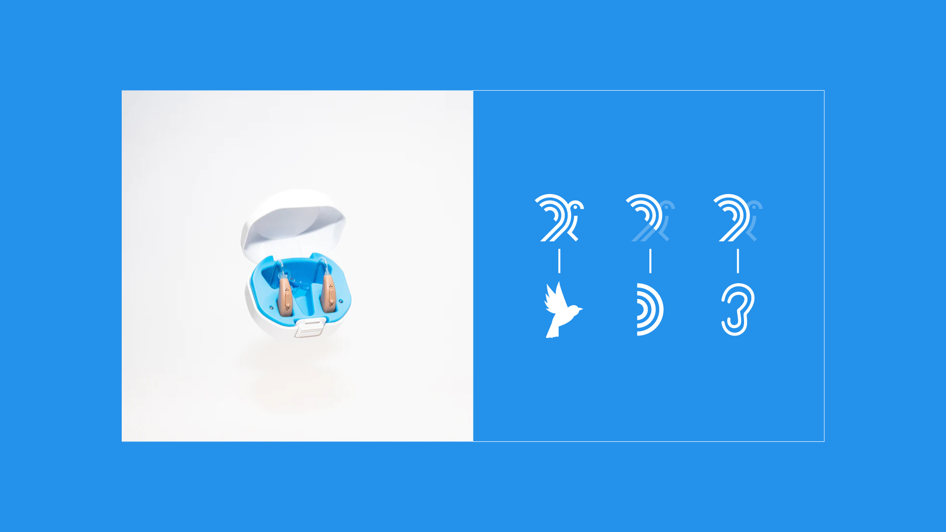 catchall-luiz-design-grafico-logo-logotipo-logomarca-marca-identidade-visual-austin-texas-usa-7