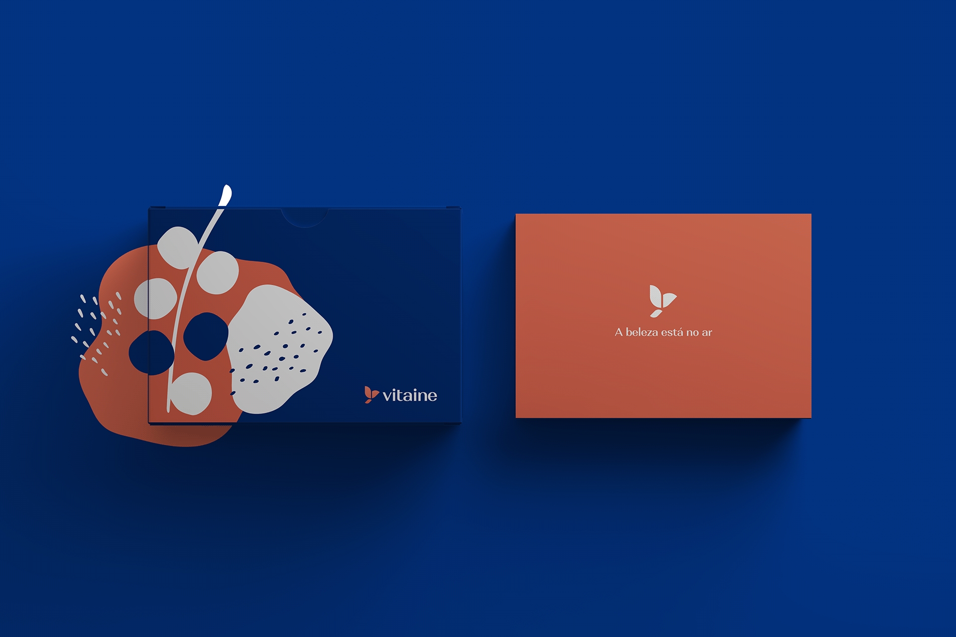vitaine-cosmeticos-luiz-design-grafico-logo-logomarca-logotipo-identidade-visual-branding-brand-marca-1 vitaine-cosmeticos-luiz-design-grafico-logo-logomarca-logotipo-identidade-visual-branding-brand-marca-1