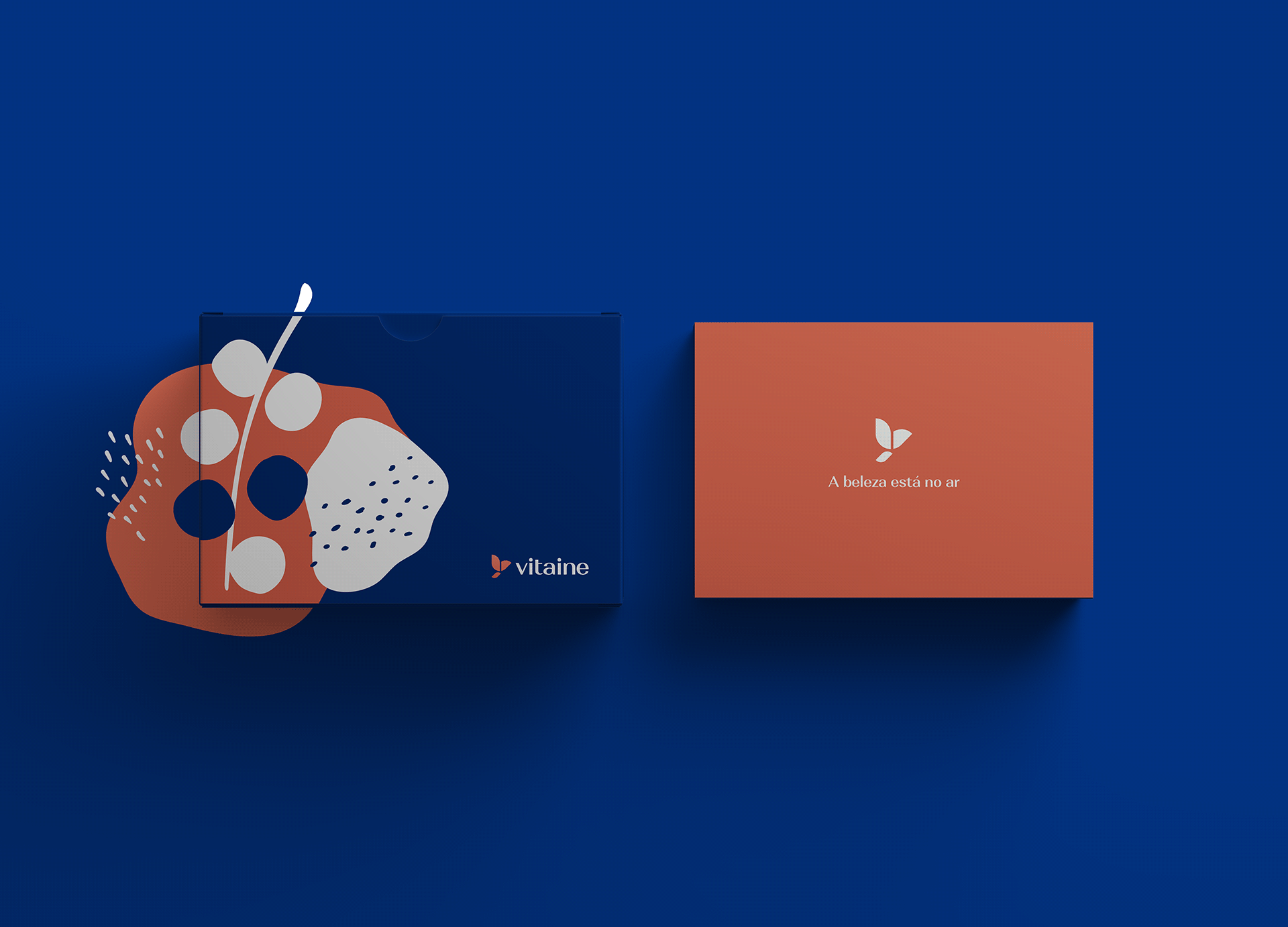 vitaine-cosmeticos-luiz-design-grafico-logo-logomarca-logotipo-identidade-visual-branding-brand-marca-1