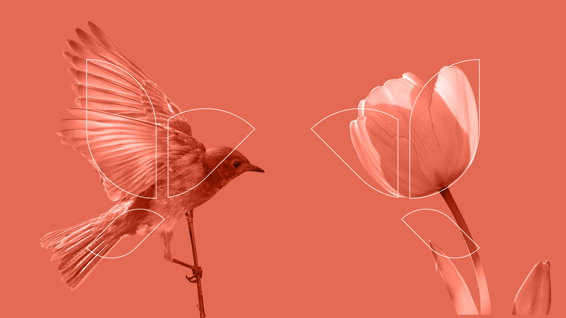 vitaine-cosmeticos-luiz-design-grafico-logo-logomarca-logotipo-identidade-visual-branding-brand-marca-3