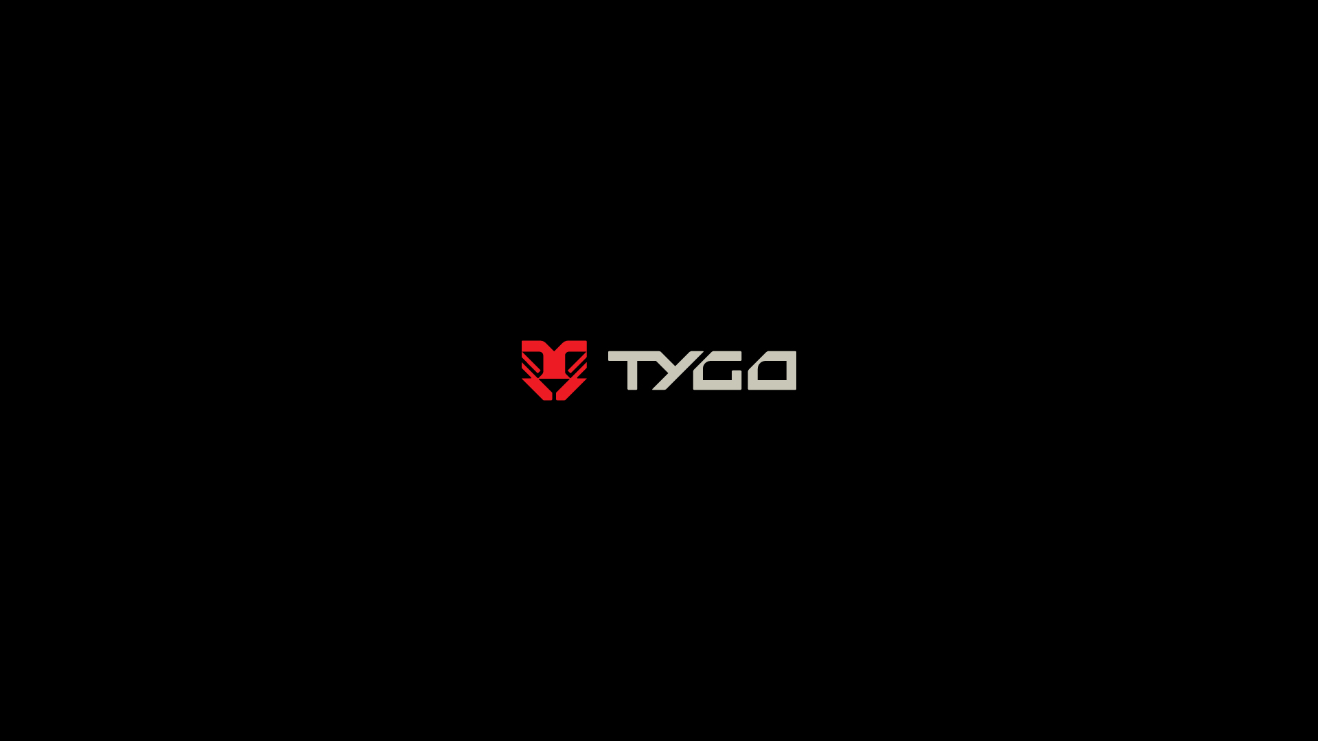 tygo-marketing-luiz-design-grafico-identidade-visual-logo-logotipo-logomarca-branding-brand-5
