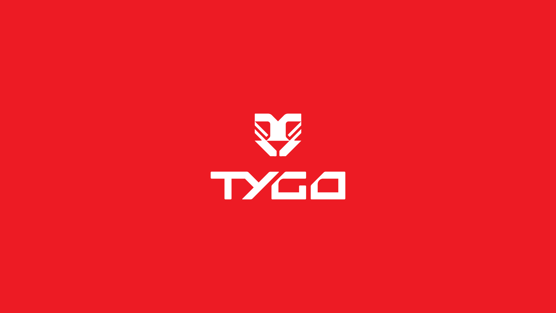 tygo-marketing-luiz-design-grafico-identidade-visual-logo-logotipo-logomarca-branding-brand-6